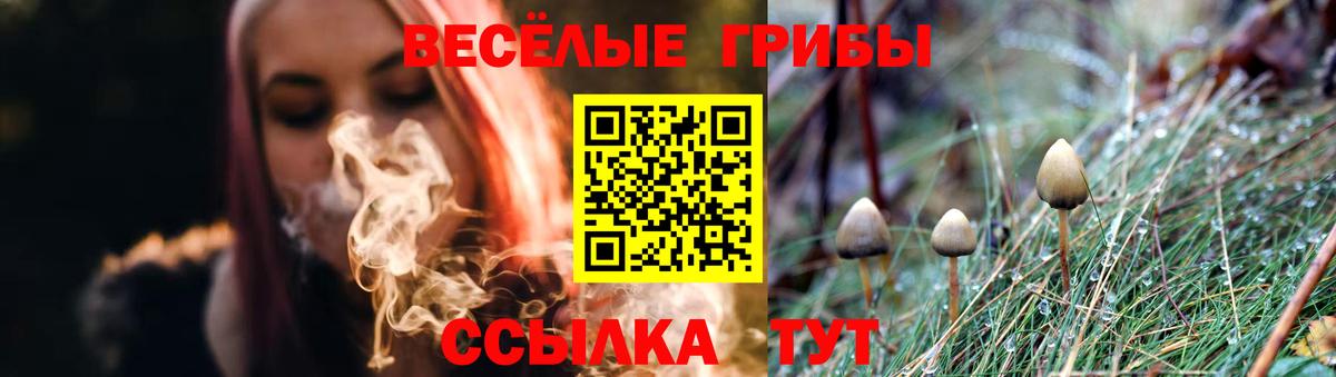 Галлюциногенные грибы Cubensis Калач-на-Дону